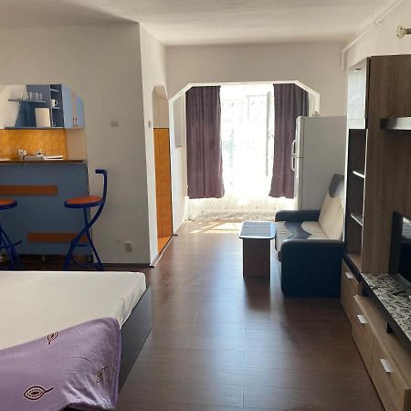 Garsoniera One Bedroom Apartment Vajdahunyad Kültér fotó