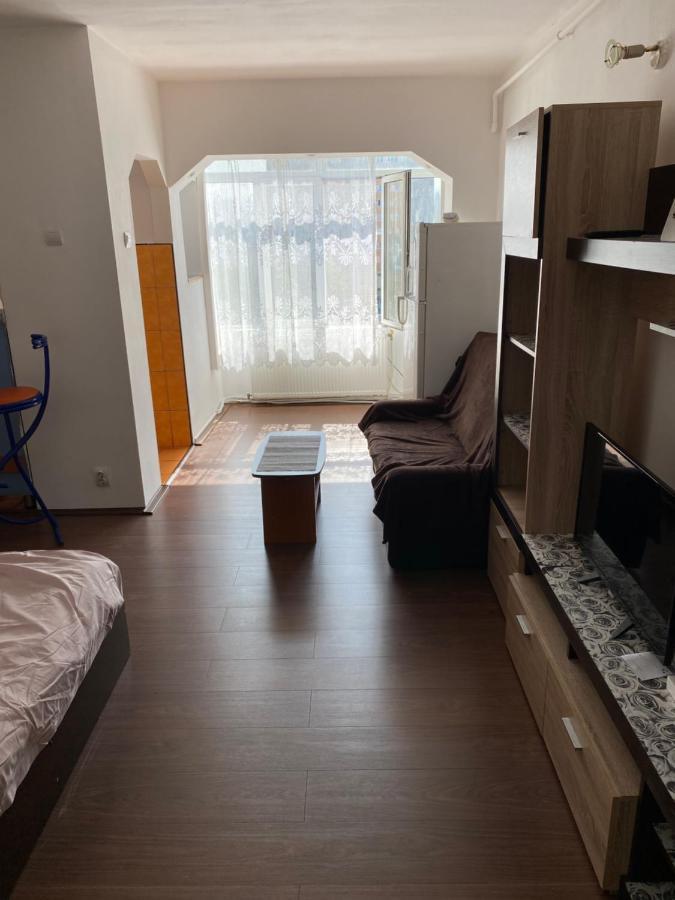 Garsoniera One Bedroom Apartment Vajdahunyad Kültér fotó