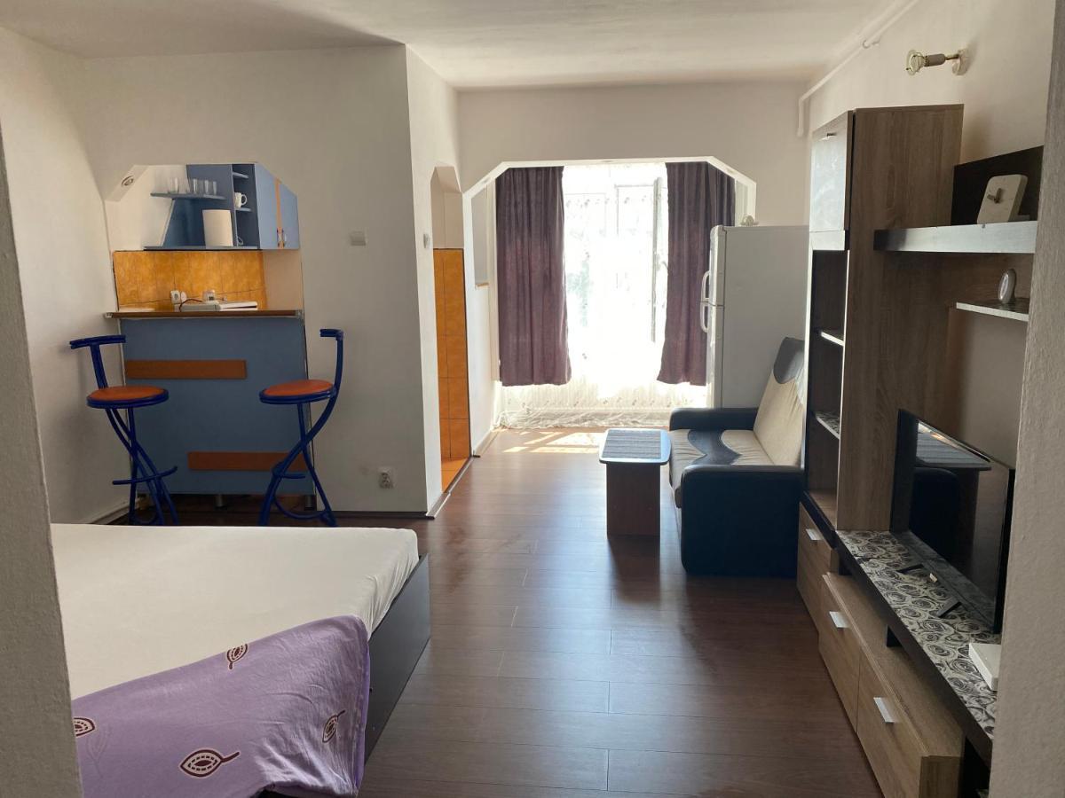 Garsoniera One Bedroom Apartment Vajdahunyad Kültér fotó